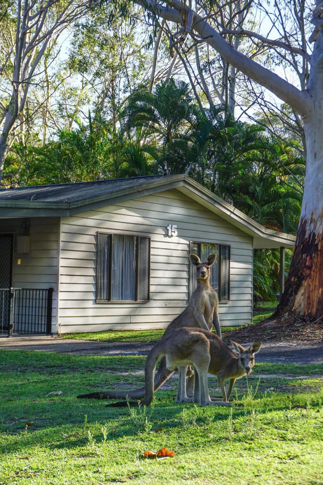 Big4 Noosa North Shore Exterior foto